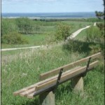 Rosedale Farm Trail Bench